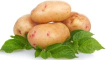 Рецепт на всі випадки життя: смажена картопля з солодким перцем та сиром  фета - ЗНАЙ ЮА
